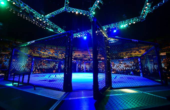 General view of a UFC octagon.