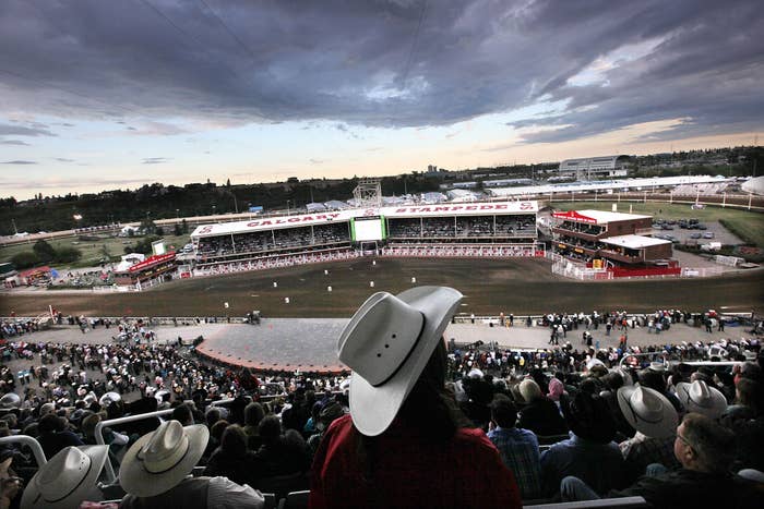 calgary stampede