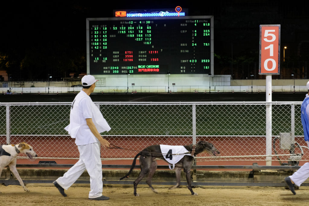 betting line china