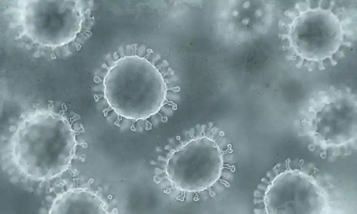 polio virus found in uk