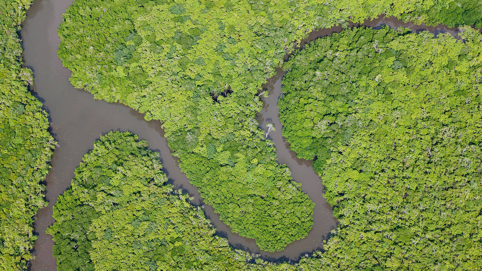 Australia's Daintree Forest Has Been Returned to its Indigenous Owners