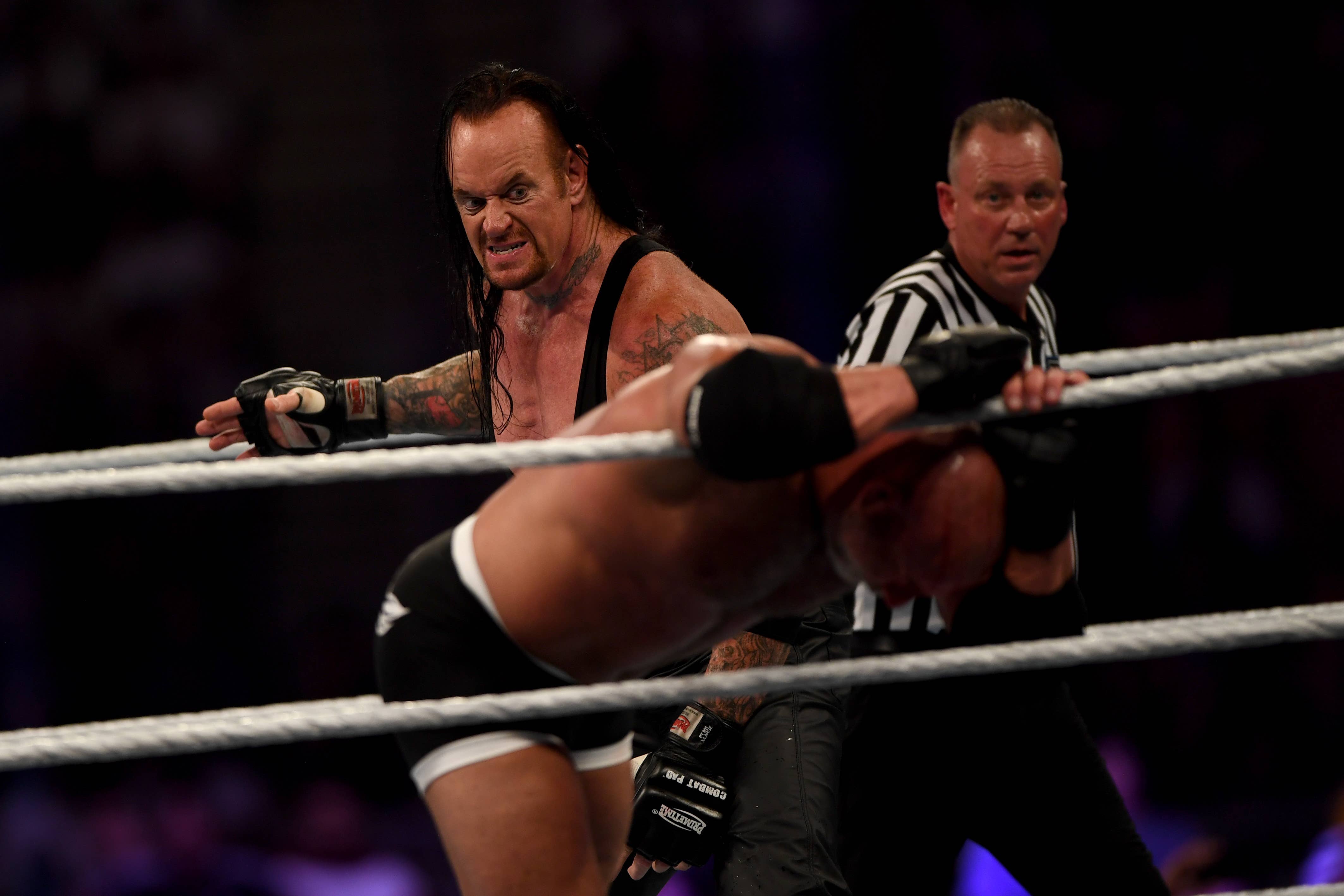 What was 'Match of the Night' at Survivor Series? - Cageside Seats