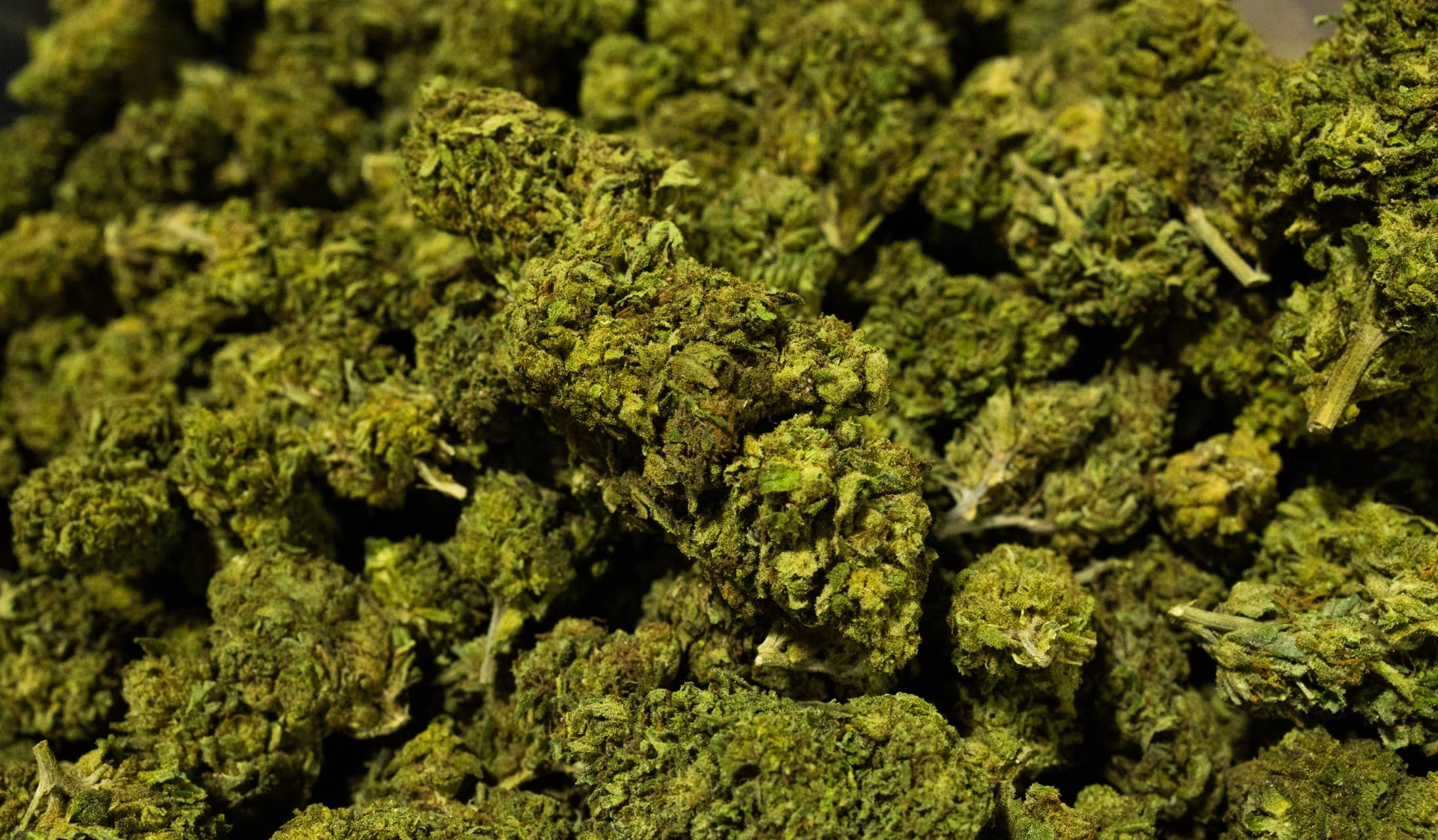 new yorkers marijuana retail licenses