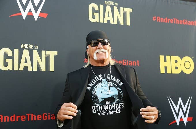 hulk hogan