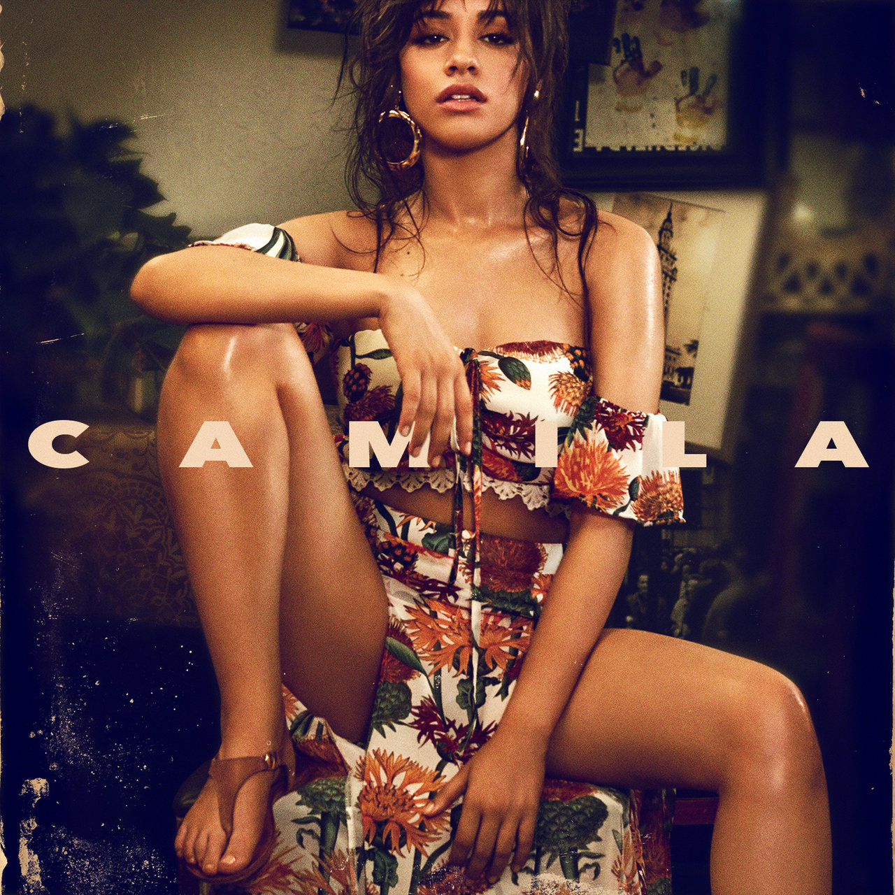 camila album cover