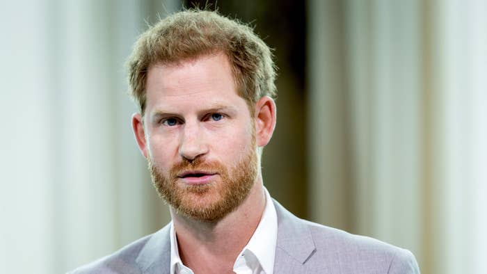 Prince Harry attends the Adam Tower project introduction.