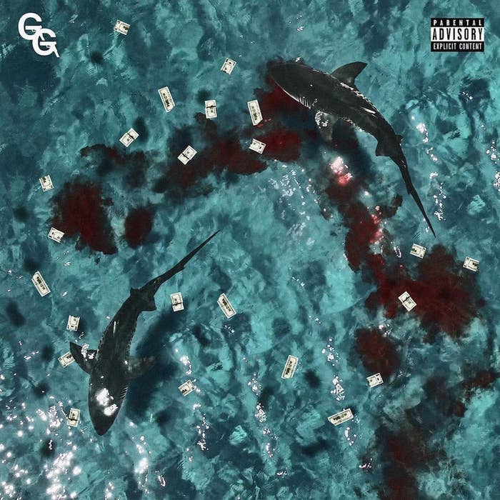 &#x27;Don&#x27;t Feed the Sharks&#x27; - Glizzy Gang