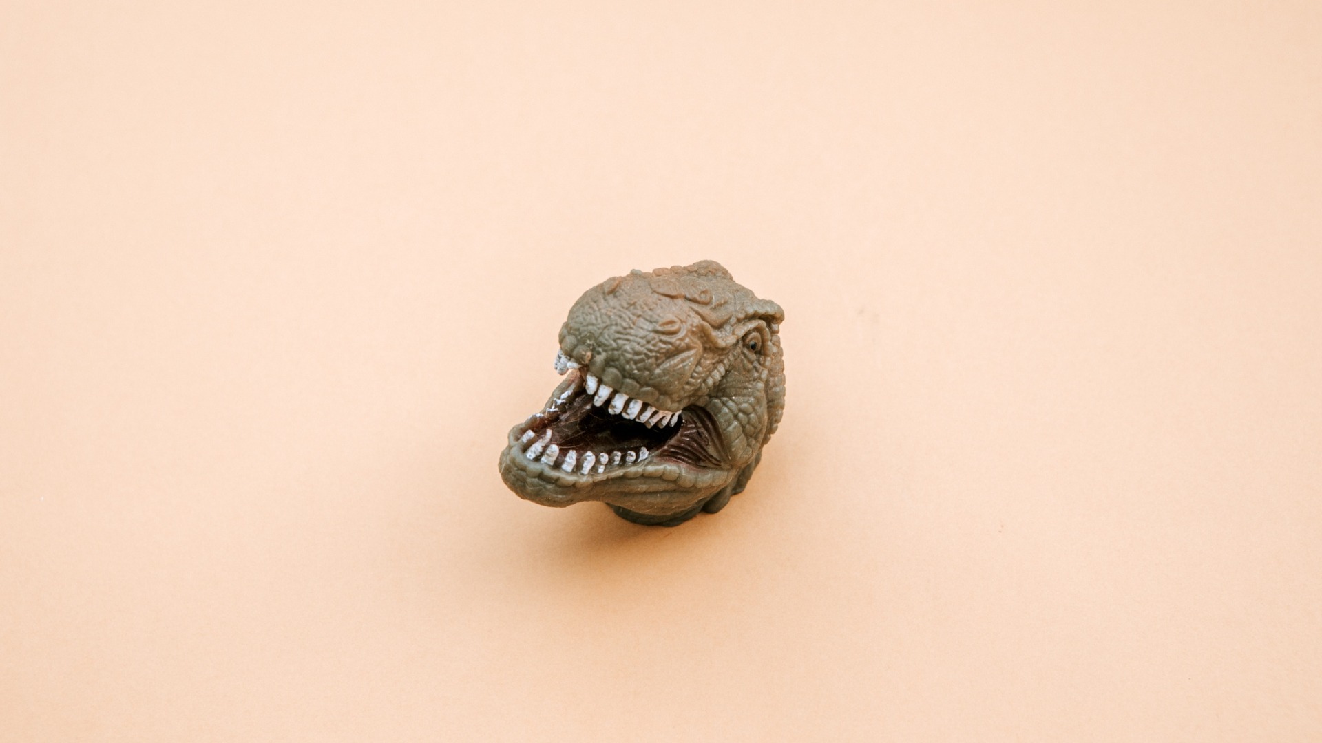 T-rex – MakerZine