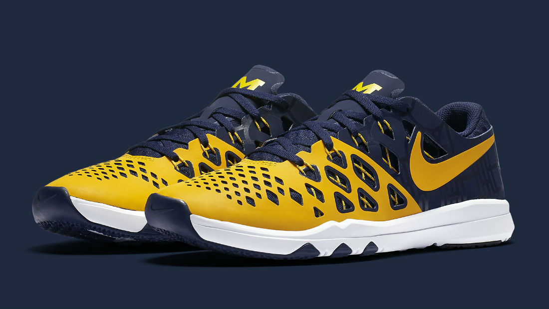 Michigan wolverines nike on sale shoes