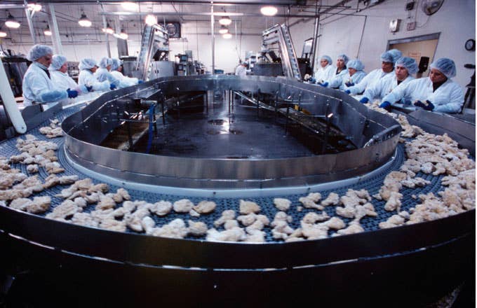 Employees of Tyson Chicken process food back in 2002.