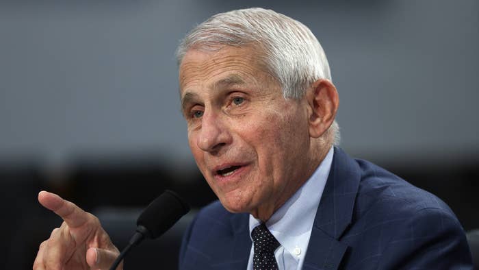 Director of National Institute of Allergy and Infectious Diseases Anthony Fauci testifies
