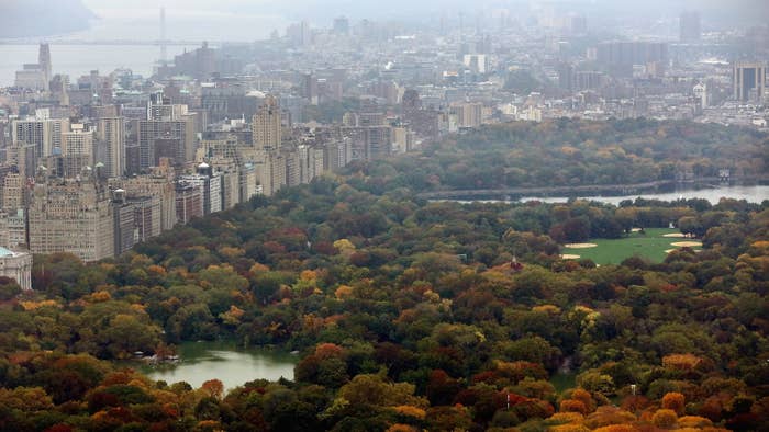 Manhattan and Central Park are seen from the ‘Top of the Rock’ observation deck.