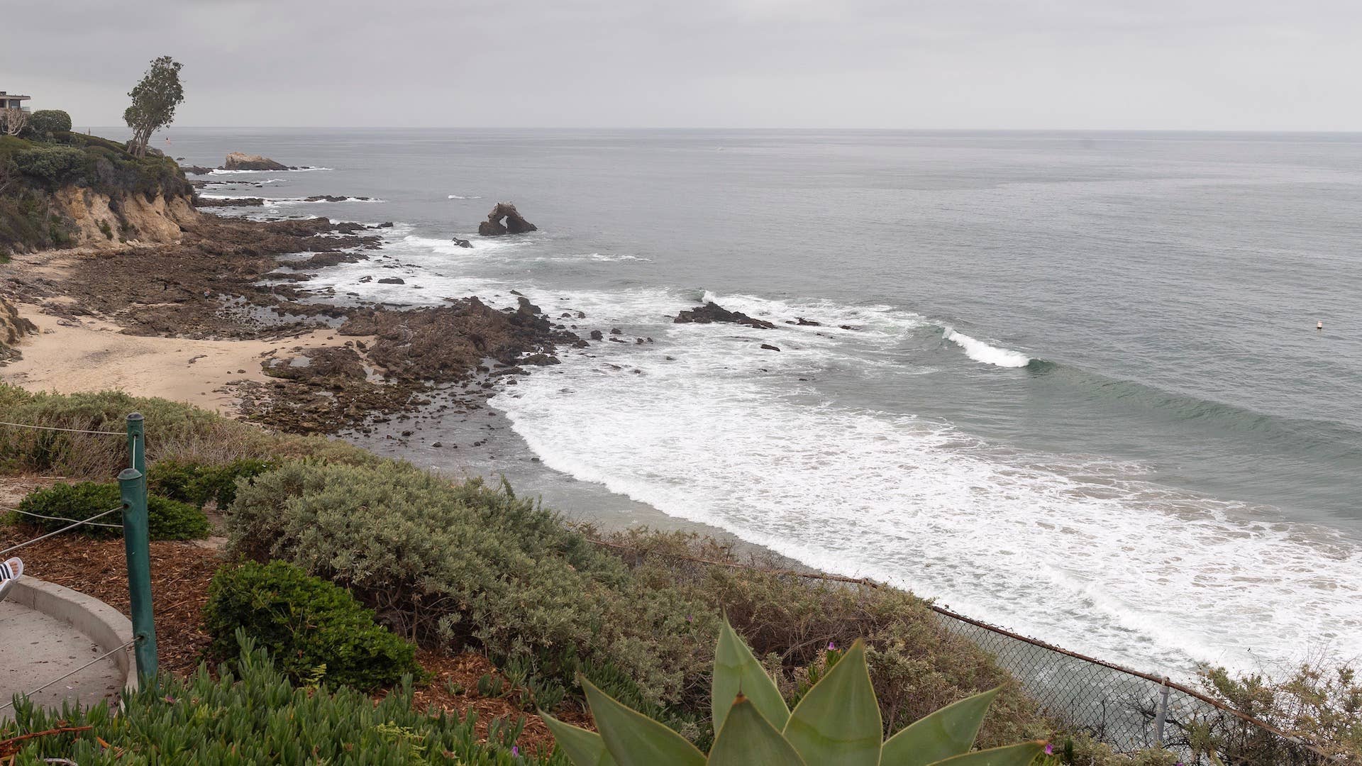 Rare and frightening footballfish washes up in California – again, Fish