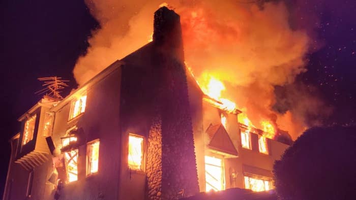 Homeowner burns down house fighting snakes