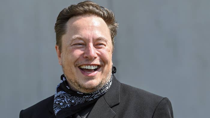 Elon Musk is pictured providing a smile
