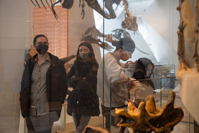A masked couple walks through the dinosaur exhibition museum. Ontario&#x27;s mask mandate against Covid-19 has been lifted