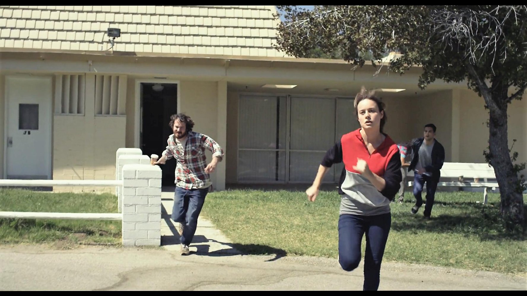 short term 12