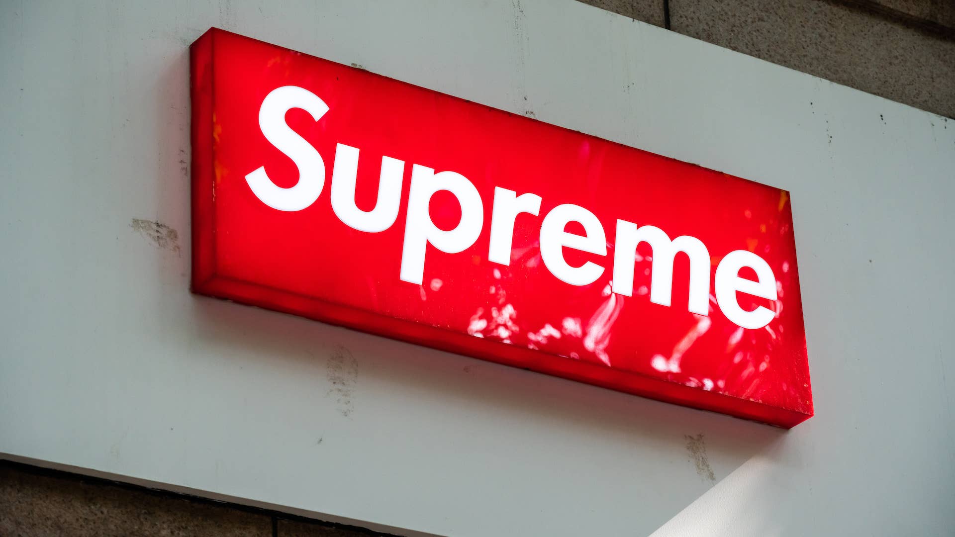 Supreme Yeezy on Dog, supreme and adidas HD phone wallpaper