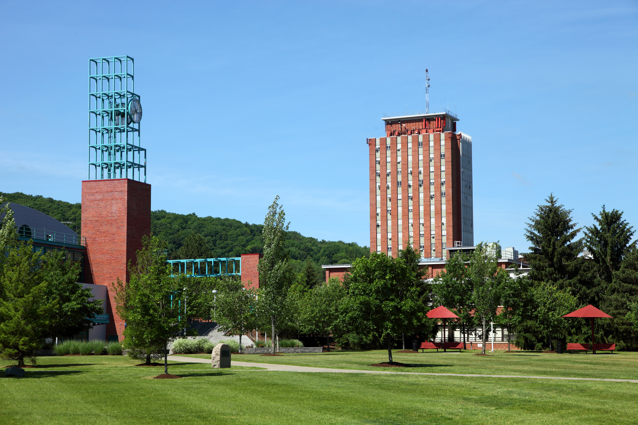 suny binghamton