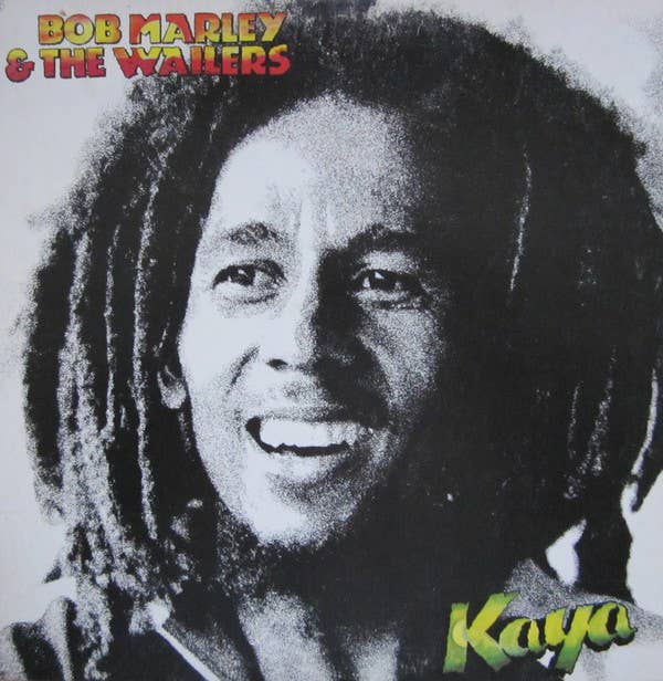 Bob Marley Medley - Damian Jr. Gong Marley