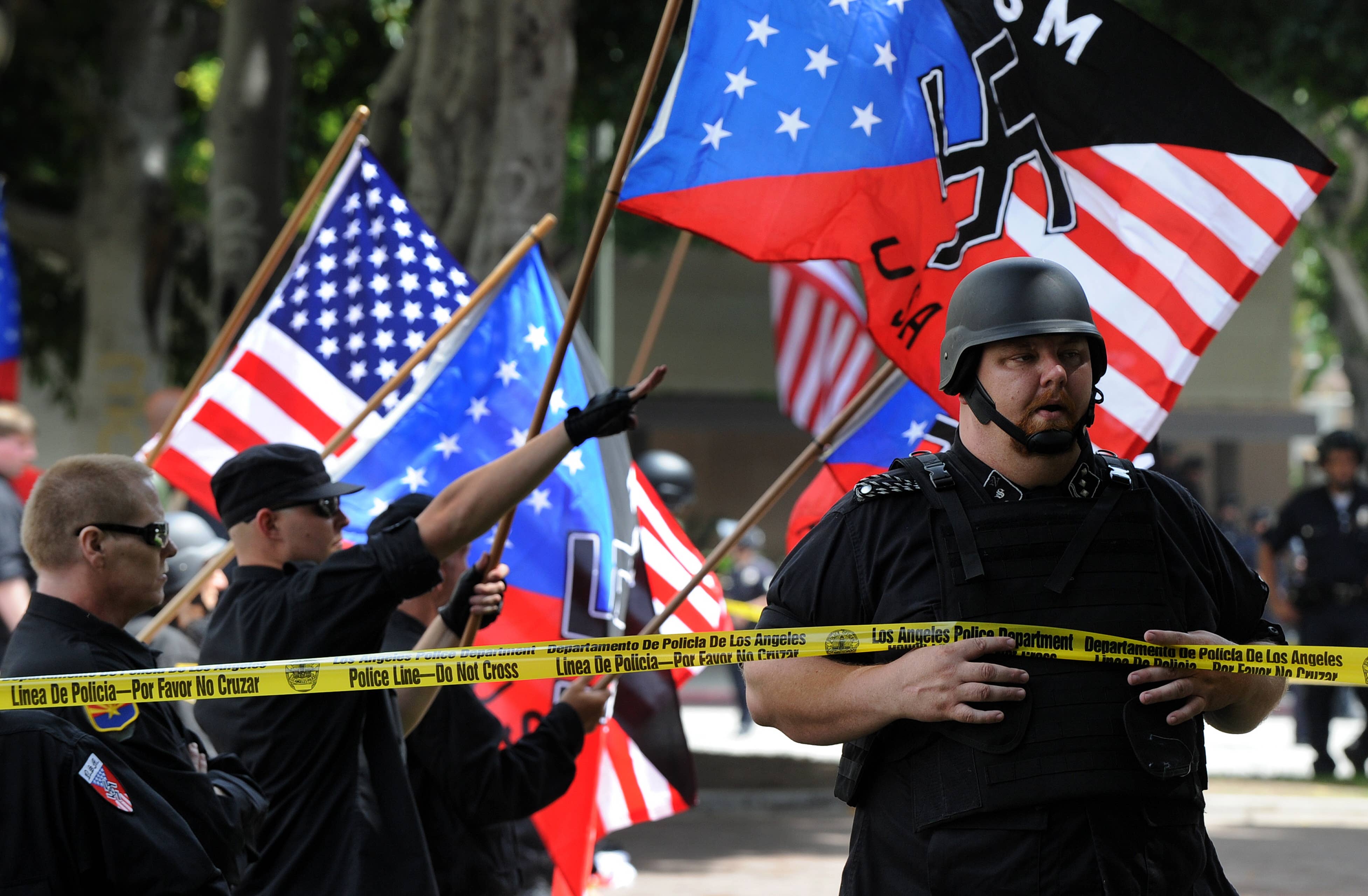 Фашистская америка. Крейг Кобб. Американские нацисты. Американские националисты. Американские фашисты.