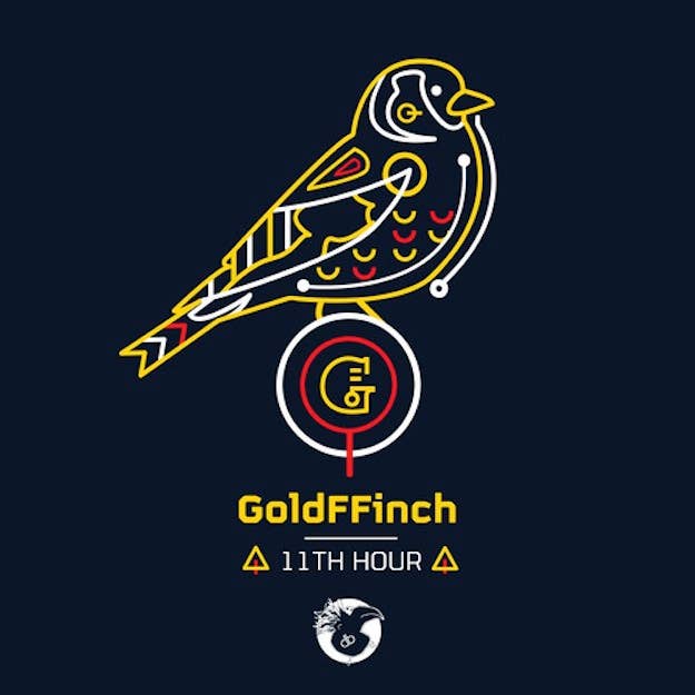 GoldFFinch 11th