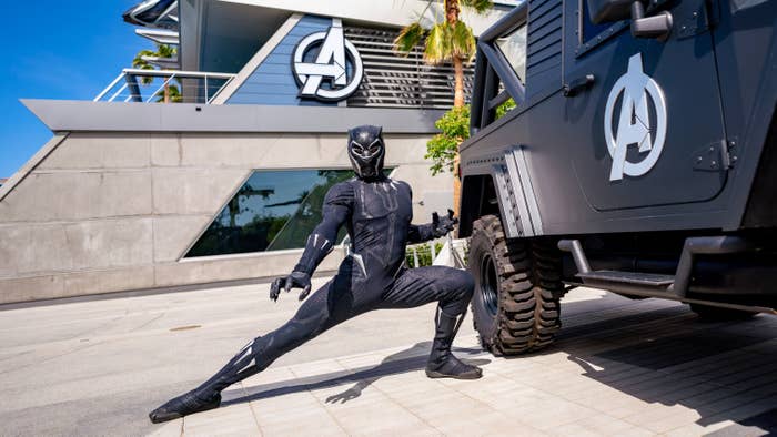 Disneyland Black Panther