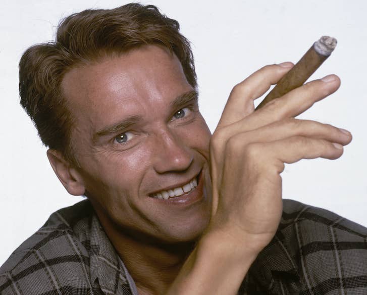 The Best Arnold Schwarzenegger Movies Complex