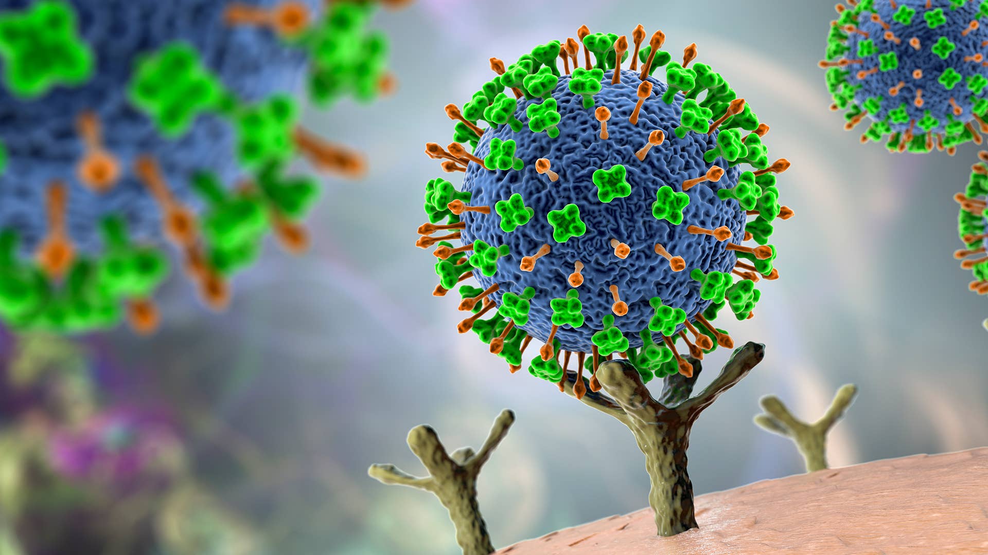 An illustration of a virus from Kateryna Kona and the Science Photo Library