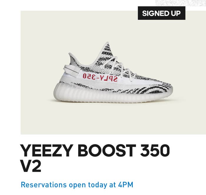 Zebra Adidas Yeezy Confirmed