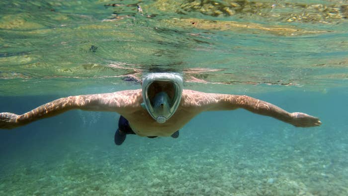 A snorkeler swims underwater.