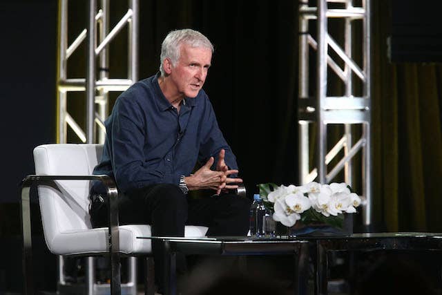 This is a picture of James Cameron.