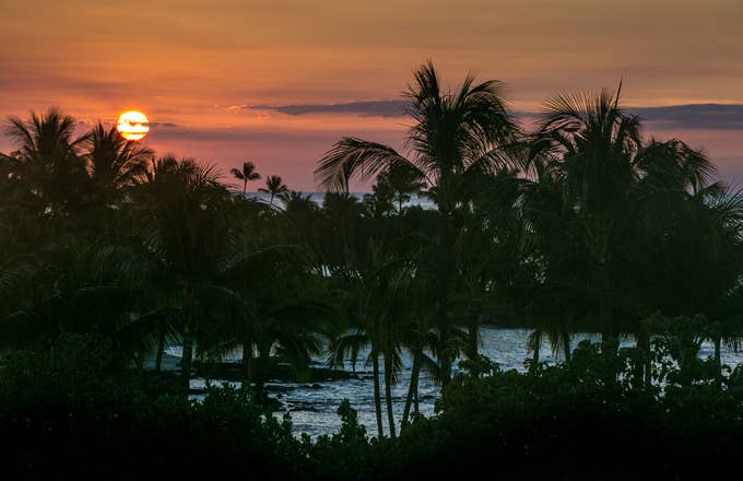 hawaii beach