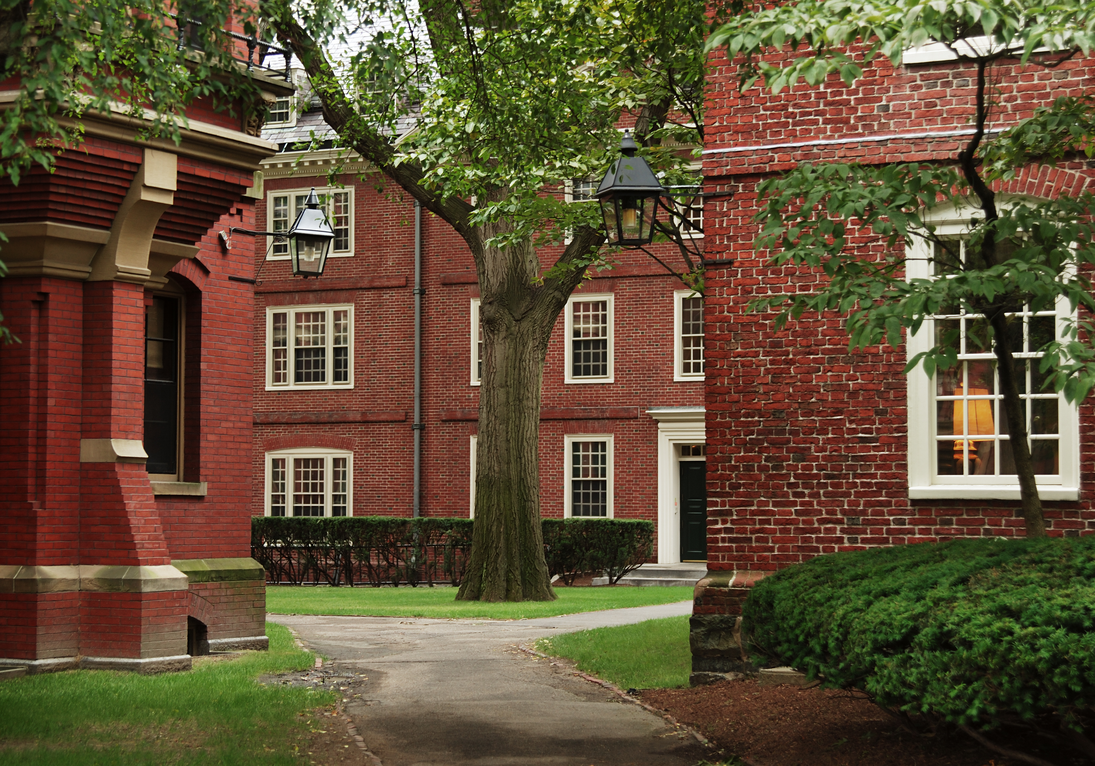 Harvard University