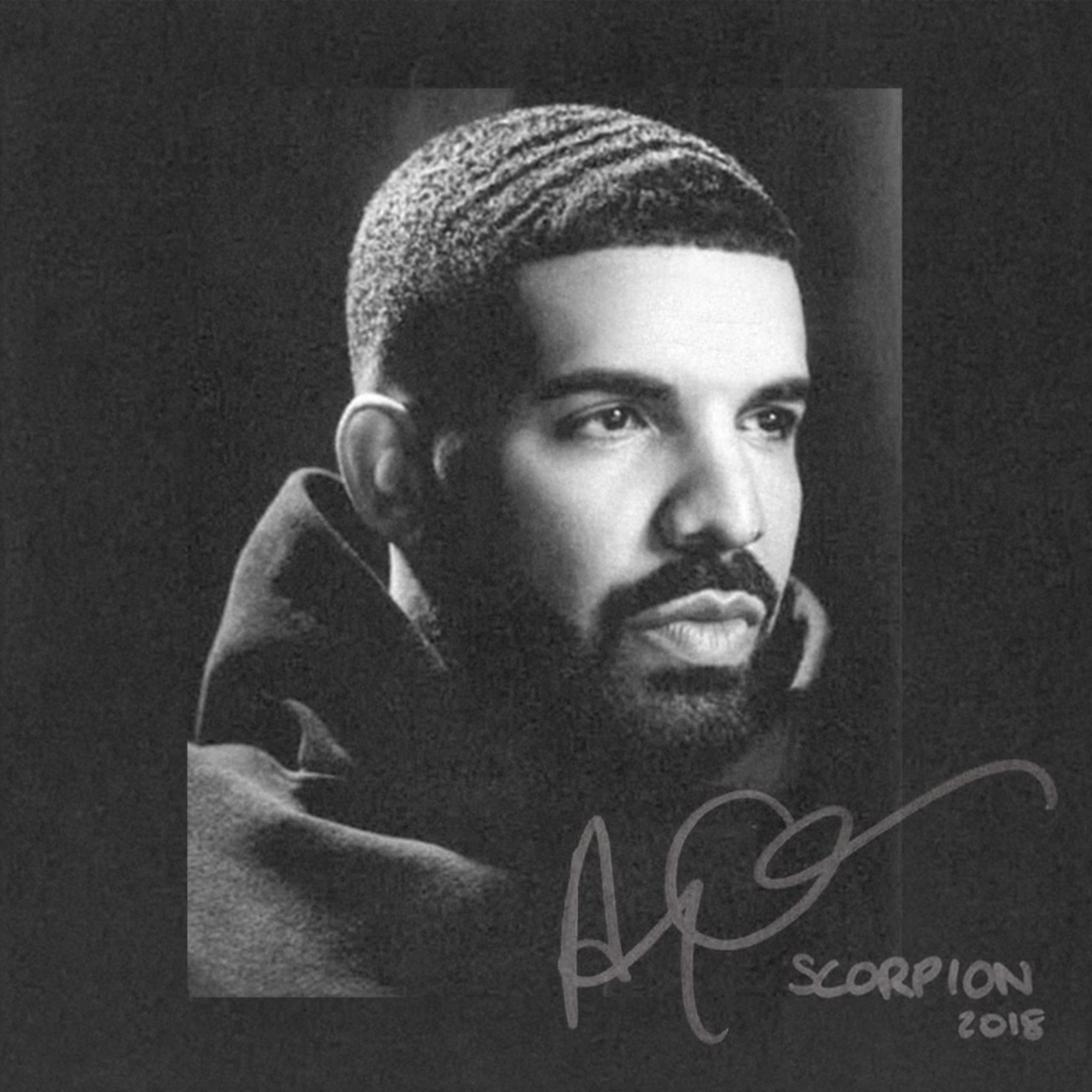 drake scorpion artwork