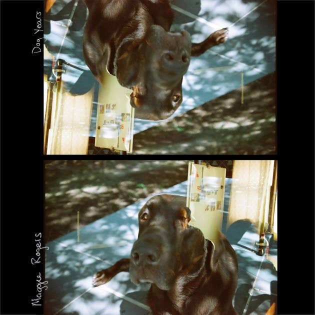 Maggie Rogers &quot;Dog Years&quot; cover art.