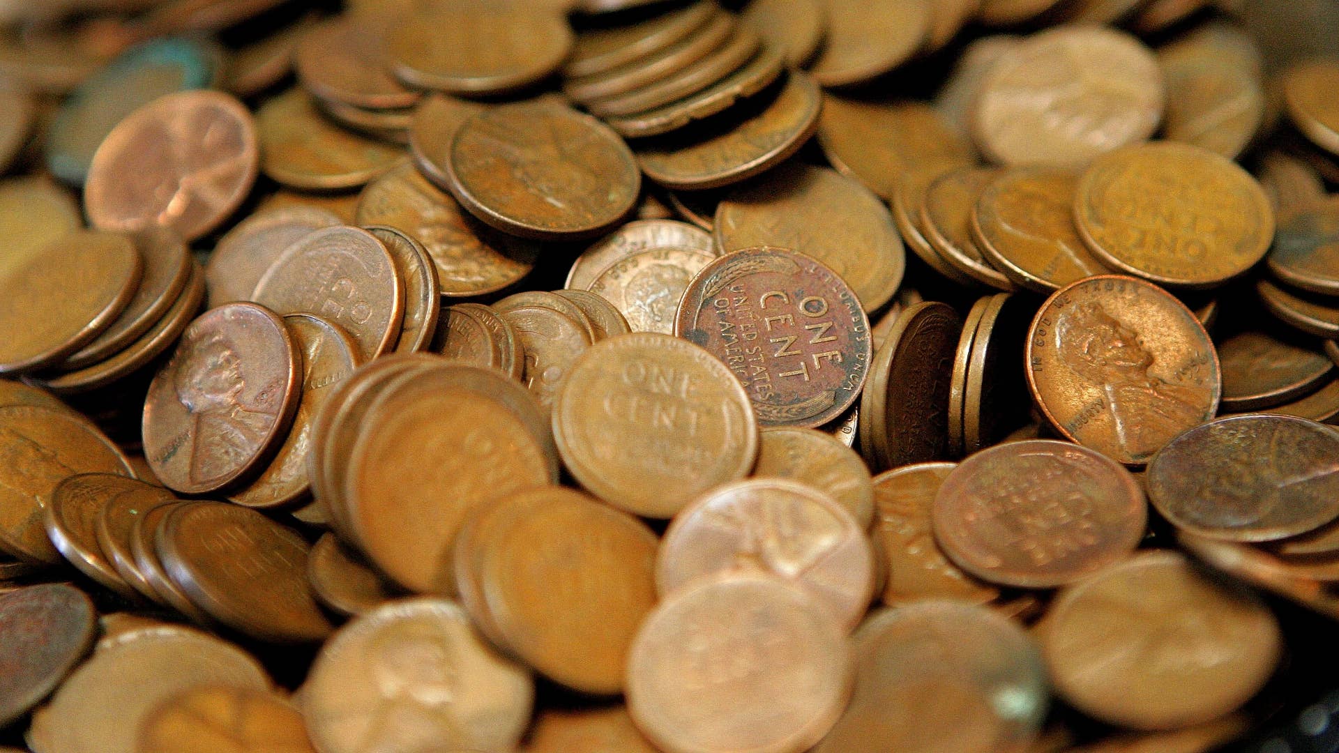 Pennies are displayed at Glenview Coin & Collectibles.