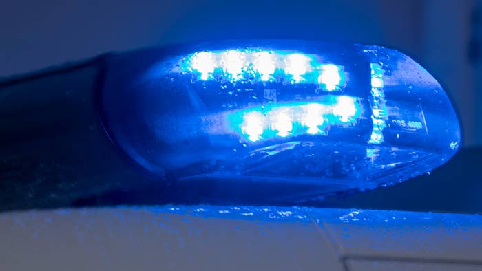 Blue lights shine on a patrol car of the state police of Mecklenburg-Vorpommern.