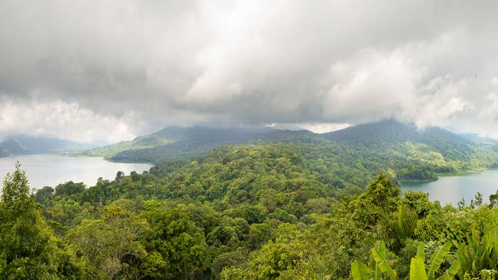 Panorama of two lakes surrounded by rainforest in North Bali.