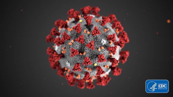 This illustration, created by CDC, reveals ultrastructural morphology exhibited by coronavirus.