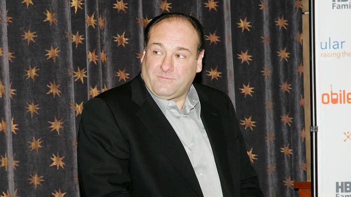 James Gandolfini attends an event.