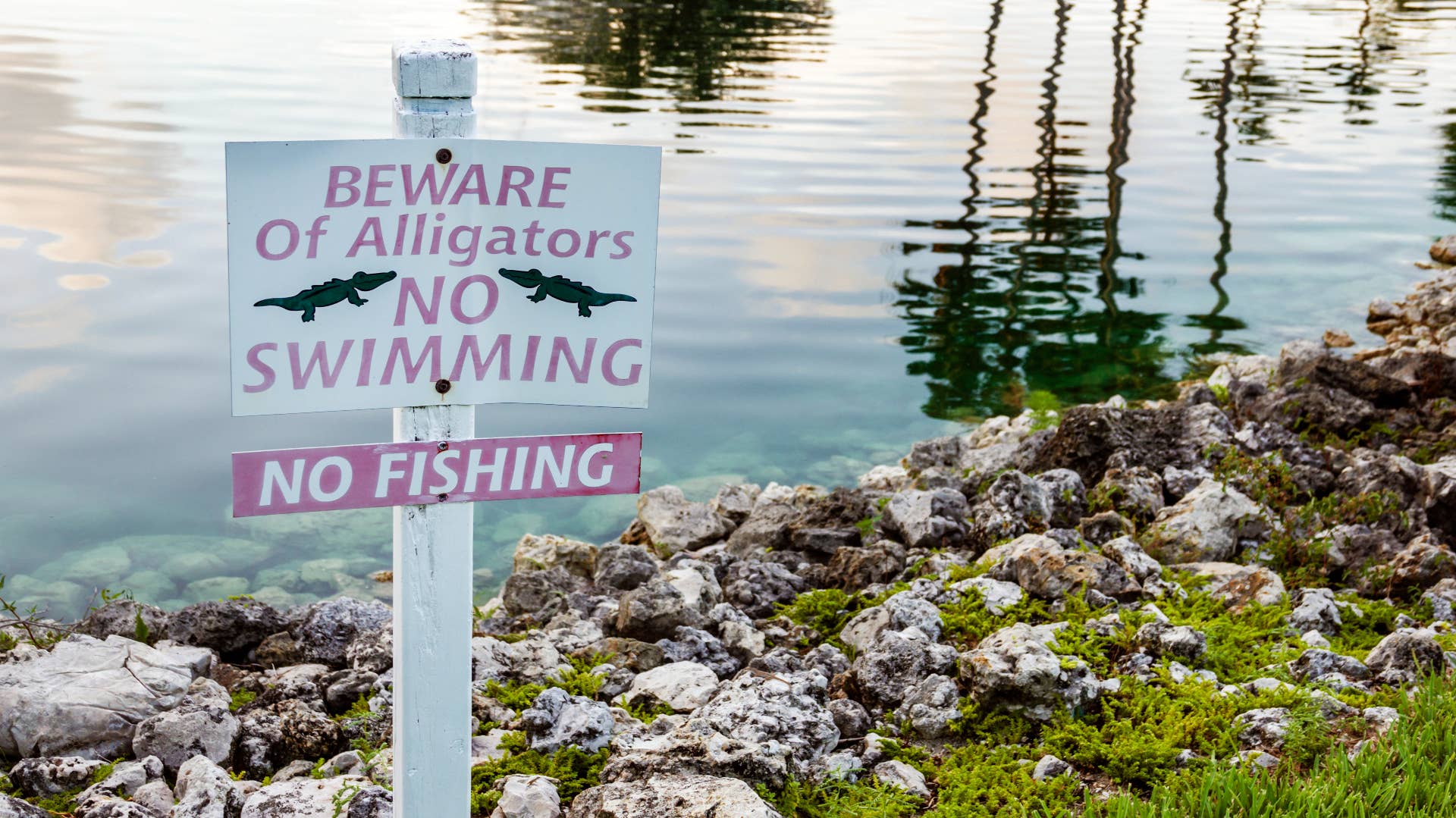 Florida, Naples, warning sign, no fishing, swimming, beware of alligators.