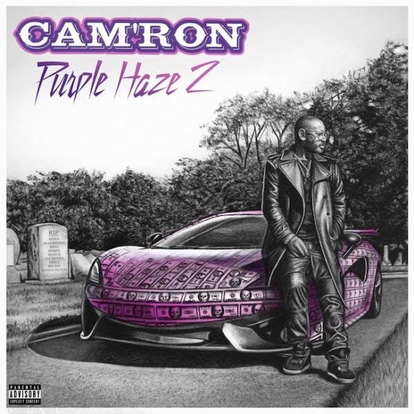 Cam'ron 'Purple Haze 2'