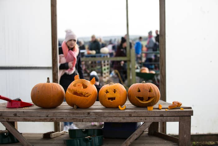 halloween pumpkins