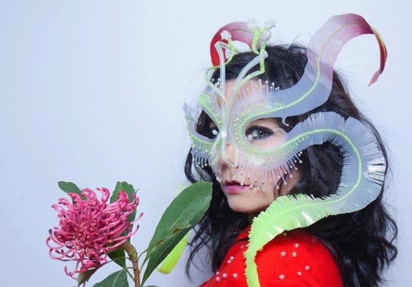 Bjork Pens Open Letter