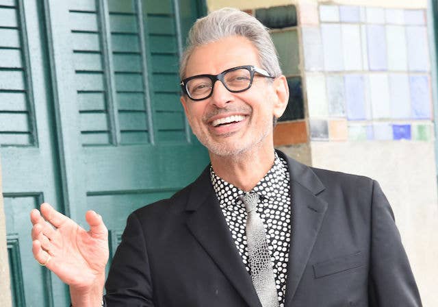 This is a picture of Jeff Goldblum.