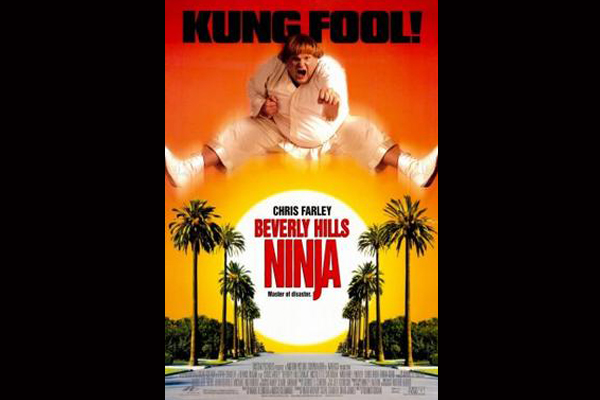best time travel movies beverly hills ninja