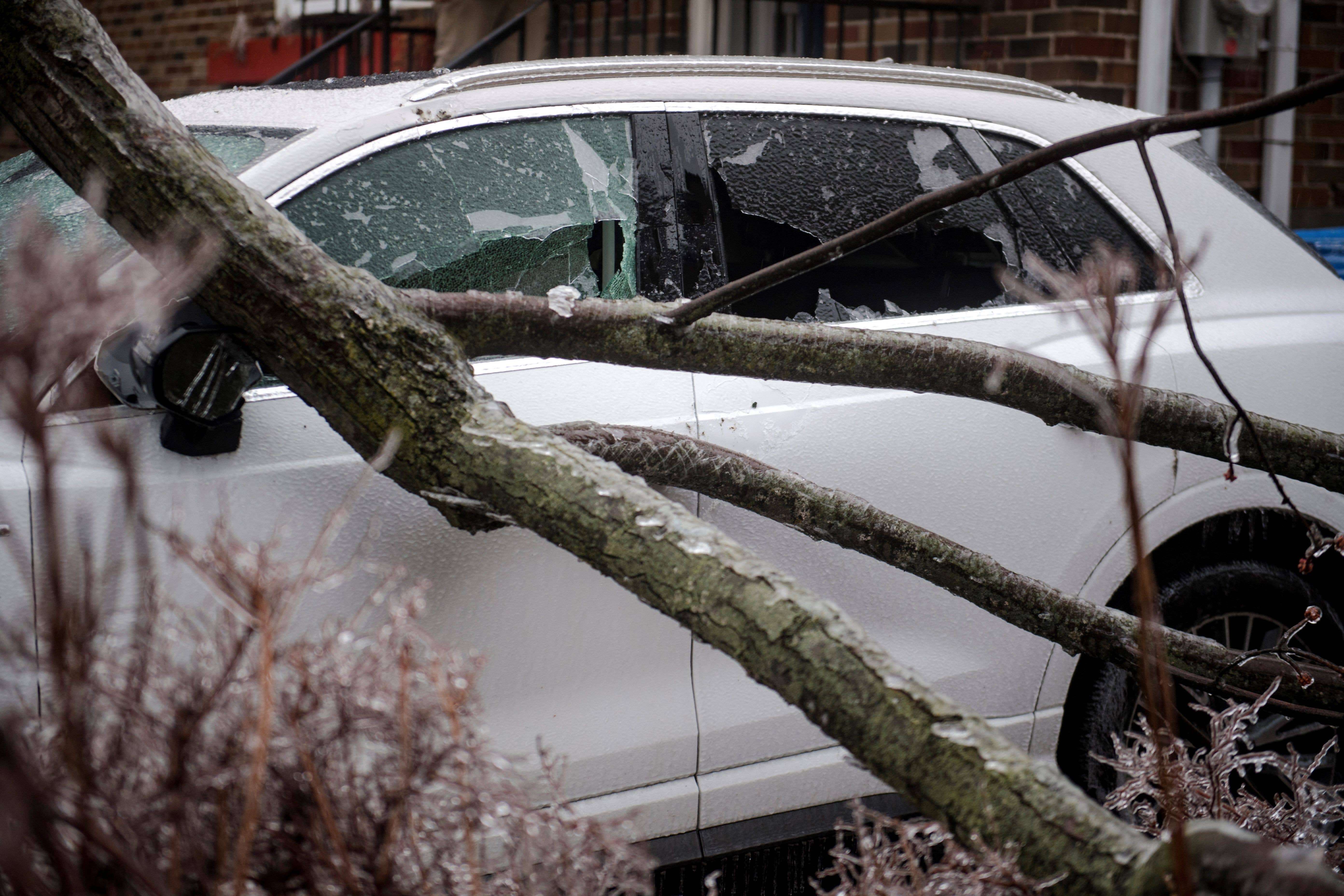 PHOTOS: Signature Oak sustains some damage after ice storm