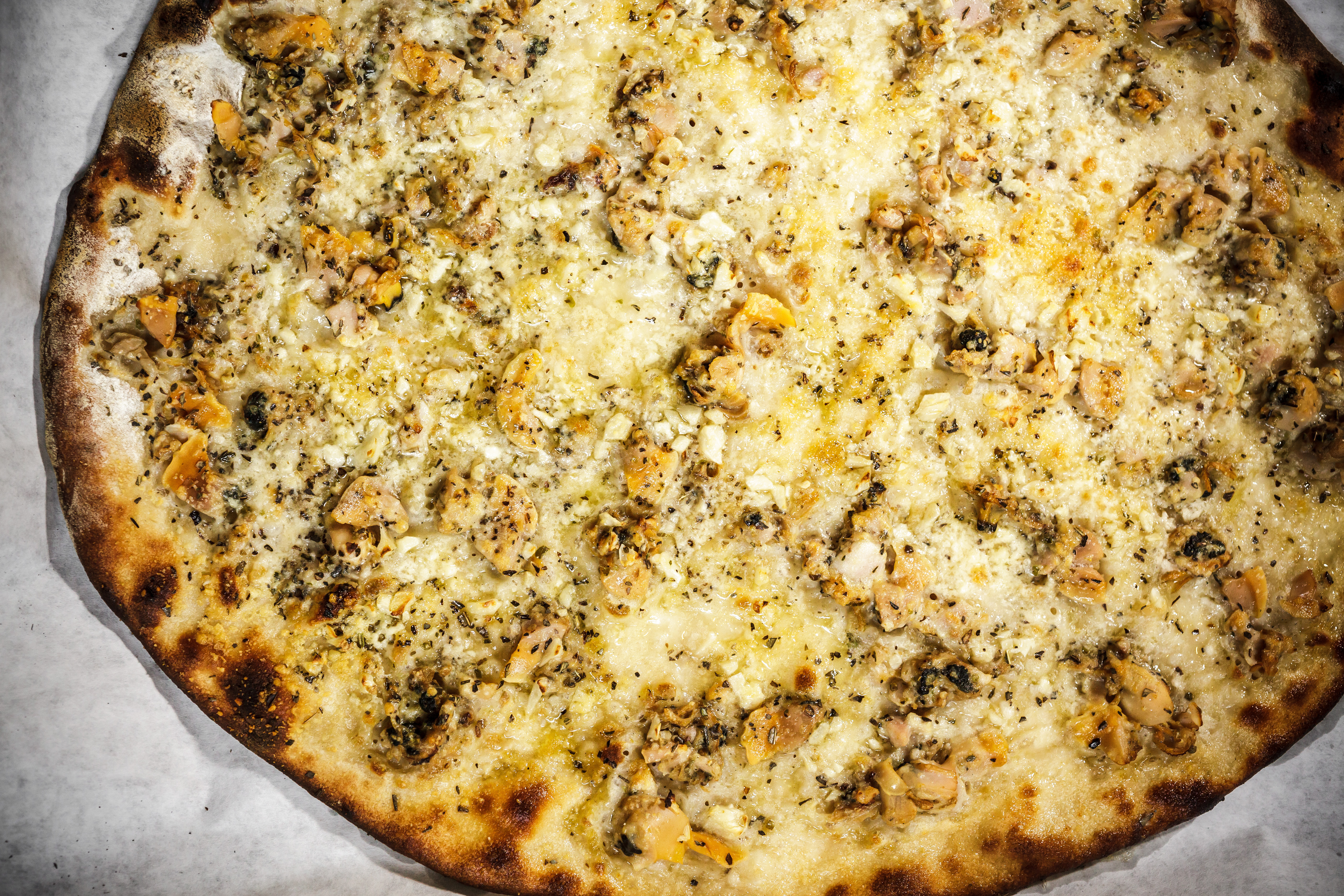 The Best Pizza From Each of the 50 States Complex