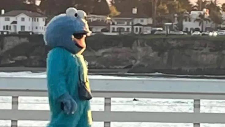 Santa Cruz warns residents about man dressed as Cookie Monster